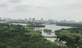 南湖公园最新爆料,探寻湖光山色中的新亮点